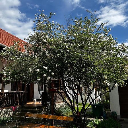 Apartamento Magnolia Garden Miskolc Exterior foto