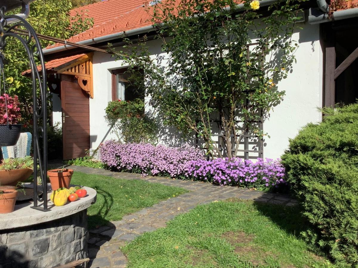 Apartamento Magnolia Garden Miskolc Exterior foto