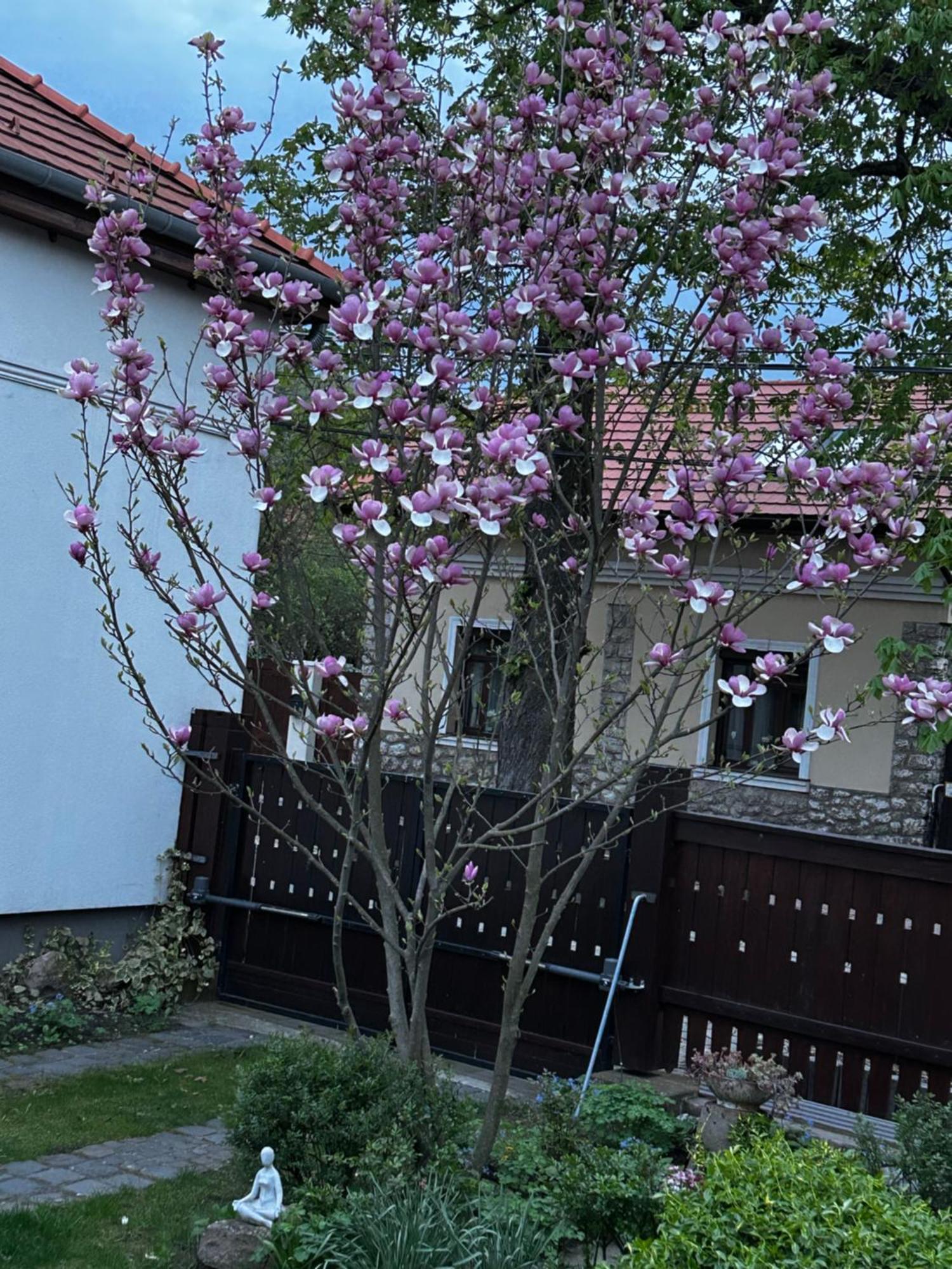 Apartamento Magnolia Garden Miskolc Exterior foto