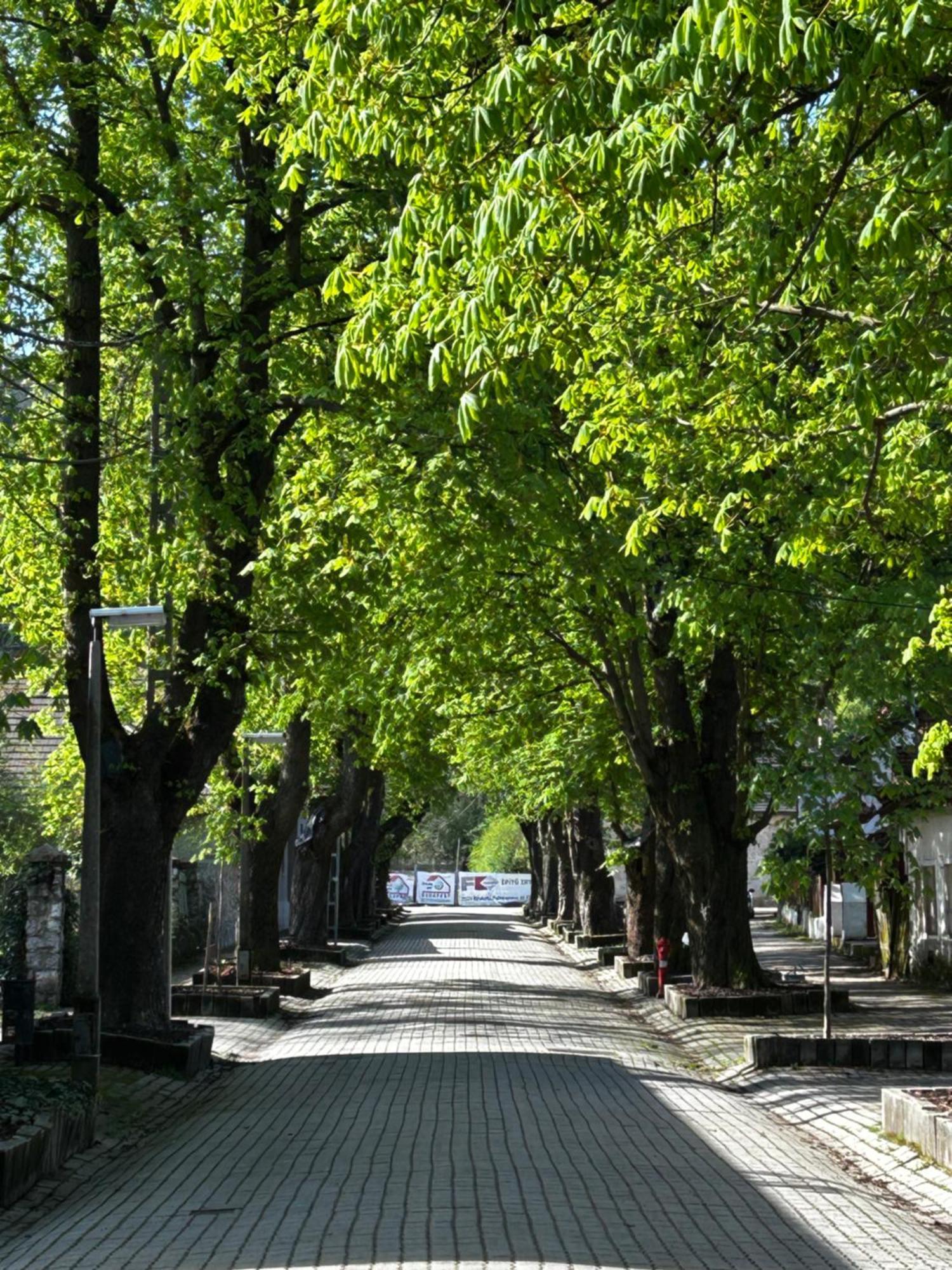Apartamento Magnolia Garden Miskolc Exterior foto